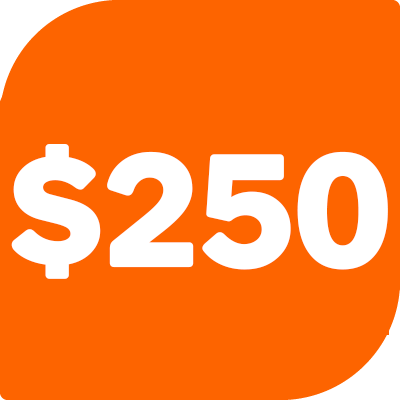 $250 Long Expiry plan